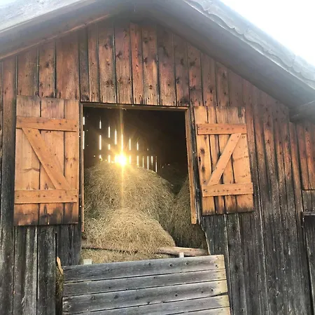 Lägenhet Theresia