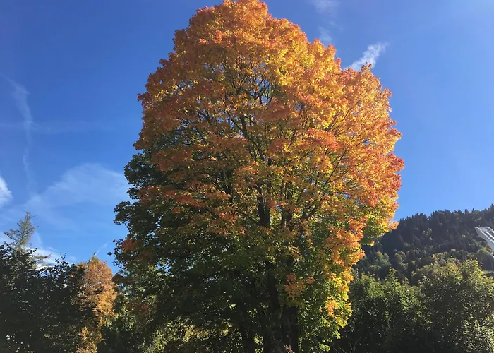 Апартаменти Theresia