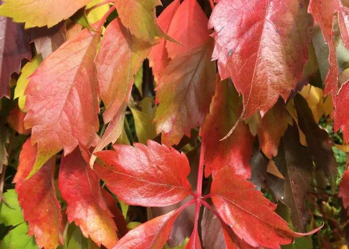 Apartment Theresia Garmisch-Partenkirchen